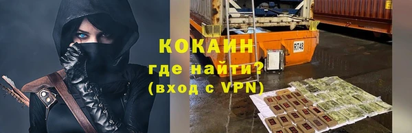 шишки Куйбышев