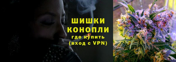 шишки Куйбышев