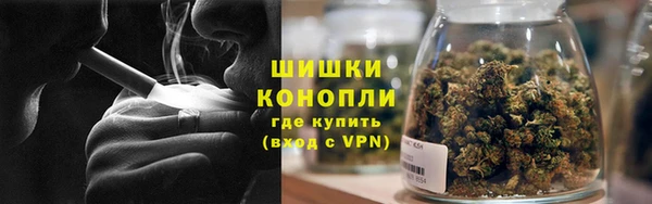 шишки Куйбышев