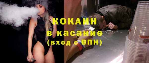 шишки Куйбышев