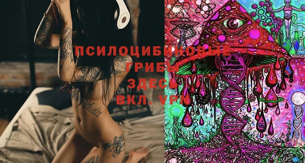 шишки Куйбышев