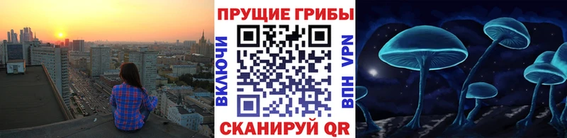 Псилоцибиновые грибы ЛСД  Тимашёвск 